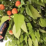 宜必思塞维利亚酒店